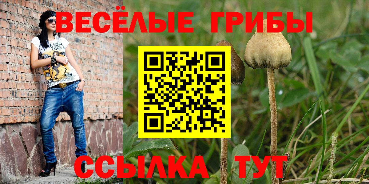 Сосновый Бор  Псилоцибиновые грибы GOLDEN TEACHER  Вход с VPN 