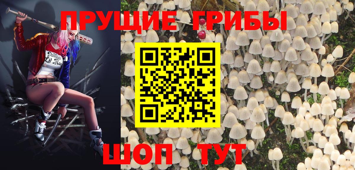 Галлюциногенные грибы Cubensis Сосновый Бор