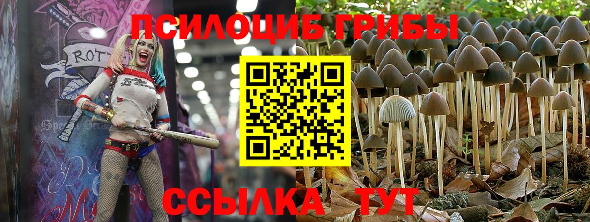 Амфетамин Сосновый Бор